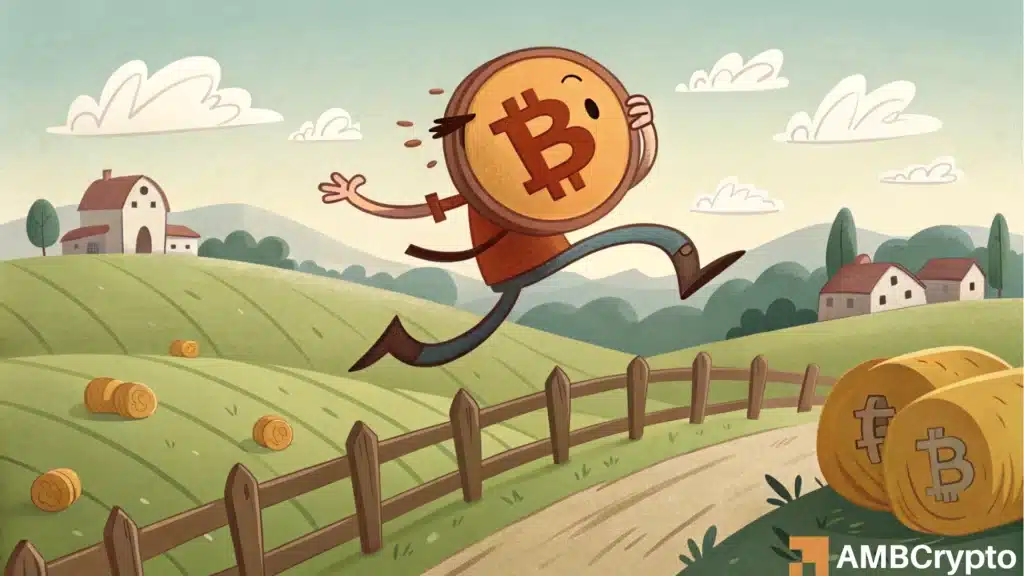 Bitcoin - Where are the signs of a local bottom and a price reversal?