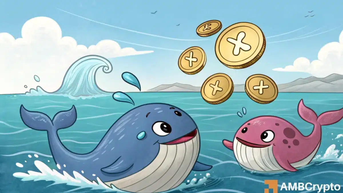 360M XRP purchase fuels whale activity - Enough for hike to $3?