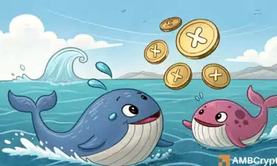 360M XRP purchase fuels whale activity - Enough for hike to $3?