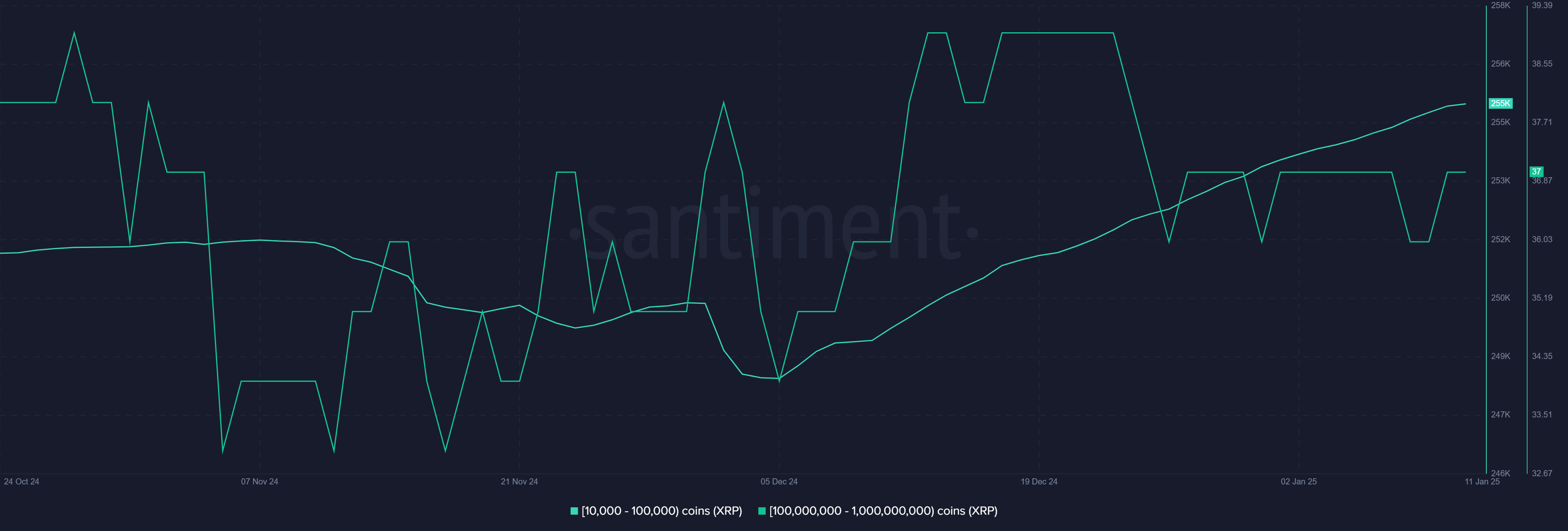 XRP whale accumulation