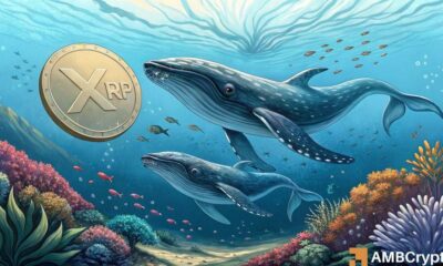 XRP surges to 7-Year high above $3 as whales accumulate $3.8B – What’s Next?