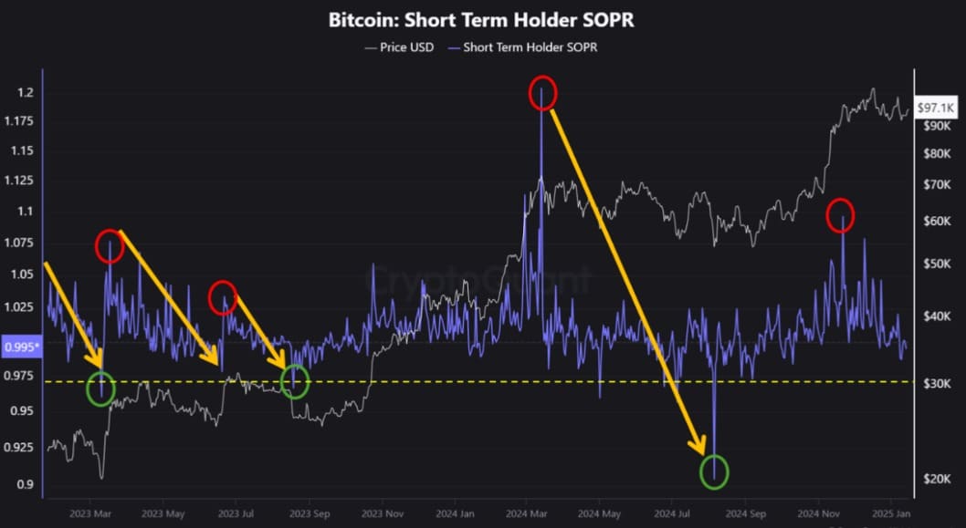 bitcoin short term holder