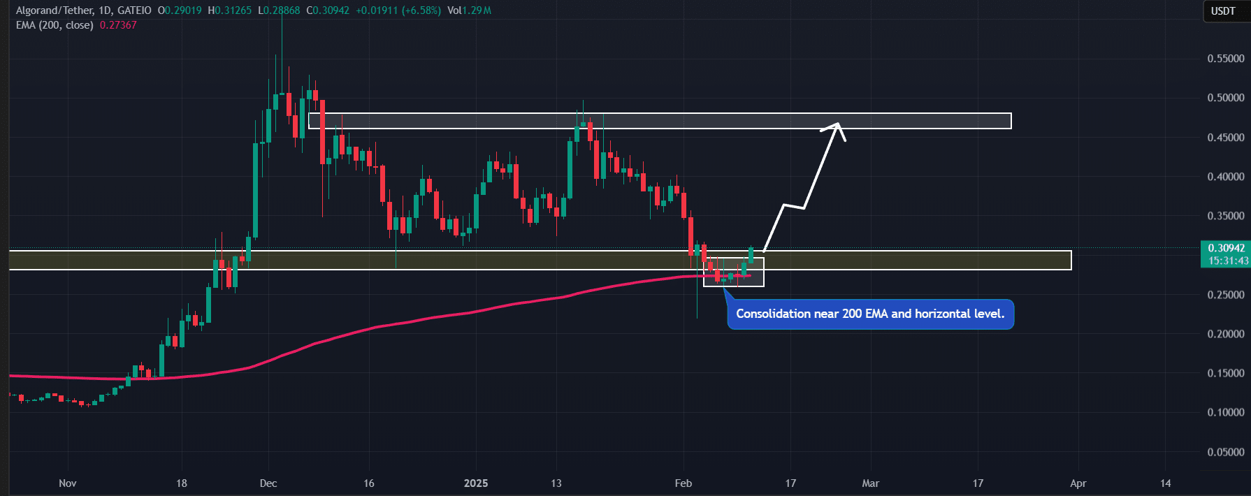 Lgorand (Algo) Price promotion