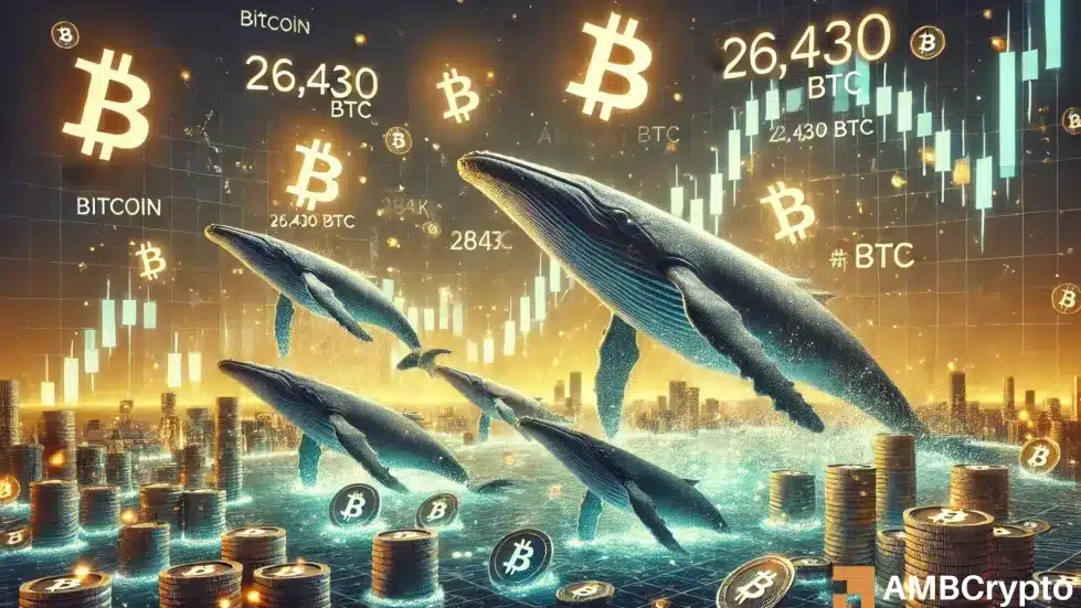 Will BTC whales save Bitcoin as the market dives into 'extreme fear' zone?