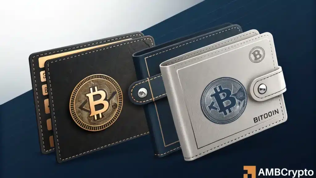 Bitcoin wallet activity declines – Are whales accumulating?