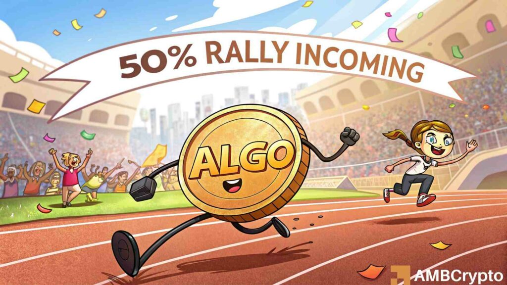 Algorand: Whale interest rises after 45% drop - What's next for ALGO?