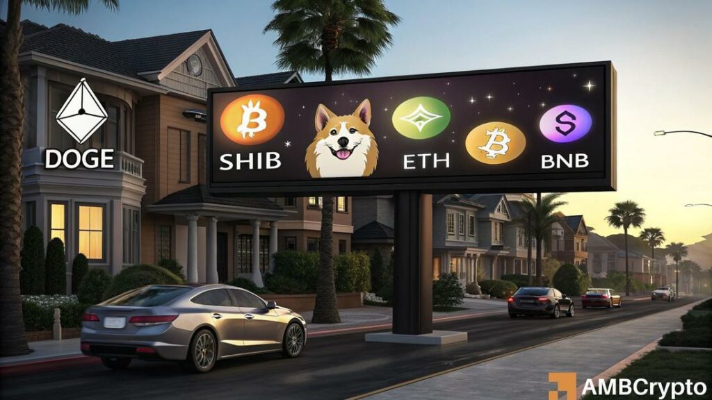 Crypto bottom altcoin seson