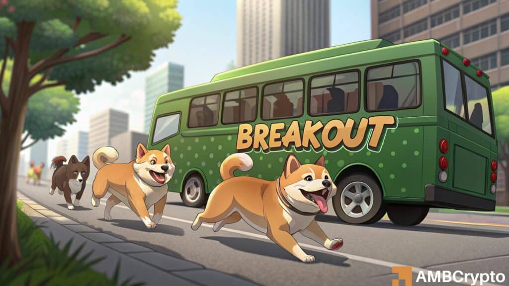 DOGE