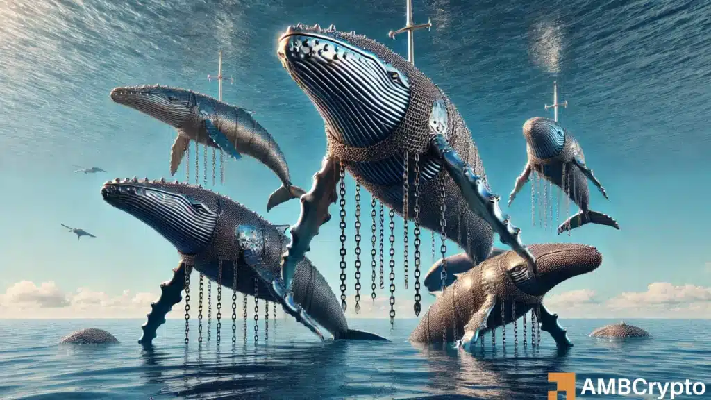 Chainlink: Whale activity signals more downside - Can demand at $14.27 hold?