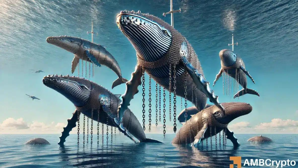 Chainlink: Whale activity signals more downside - Can demand at $14.27 hold?