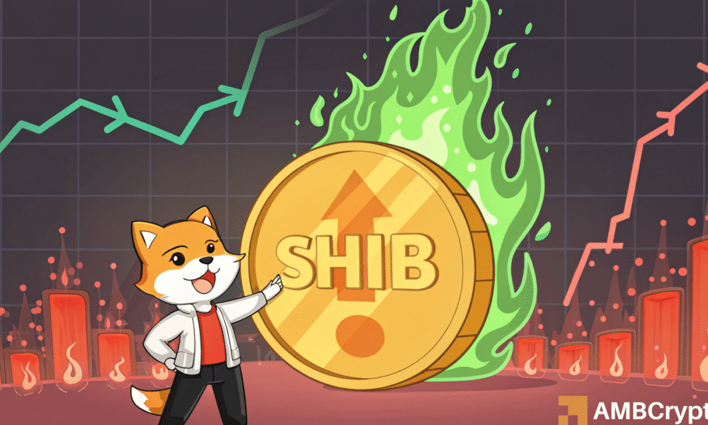 3 News Article Image Shiba Inu: How a 580% burn rate surge can help SHIB holders