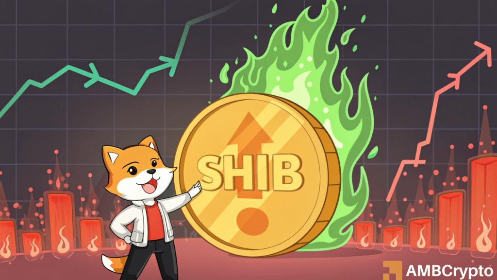 Shiba Inu