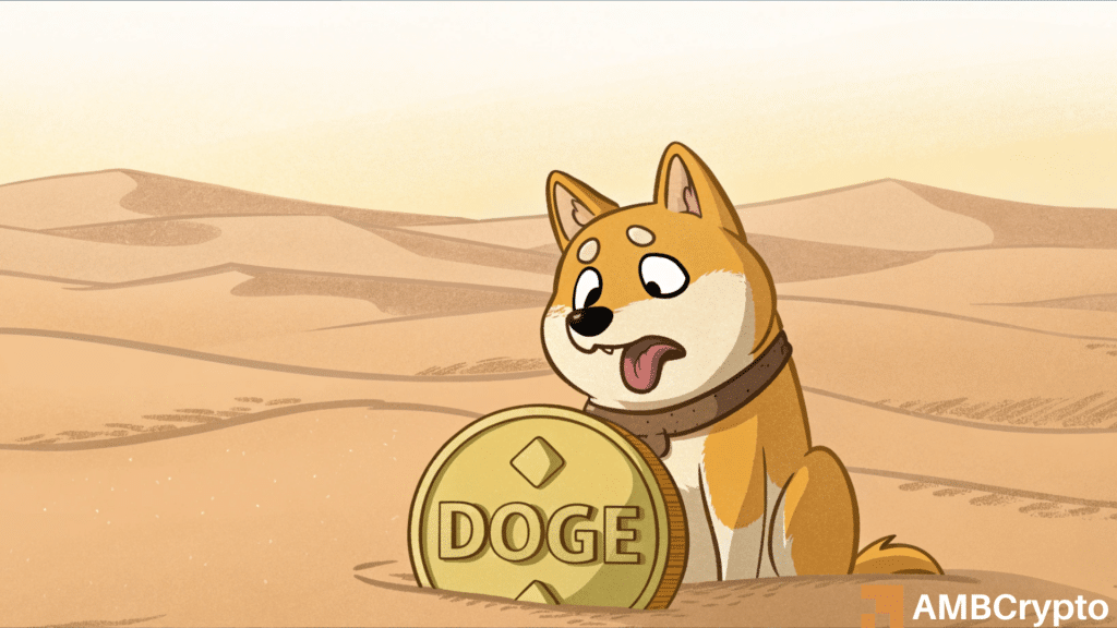 Dogecoin's decline: Can DOGE recover from its 95% drop in activity?