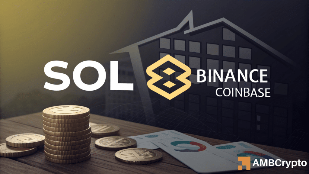 Solana crashes 10% as Binance dumps $32M - A classic market flush?