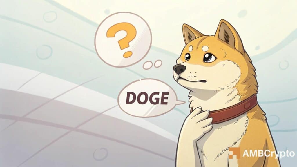 DOGE