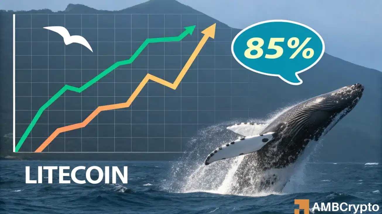 Litecoin whales turn bullish as LTC ETF odds reach nearly 90% - What next?