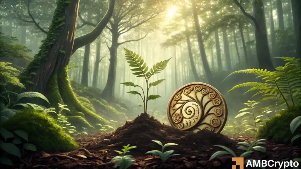 Onyxcoin [XCN] sees rising buying volume- is a breakout on the horizon?