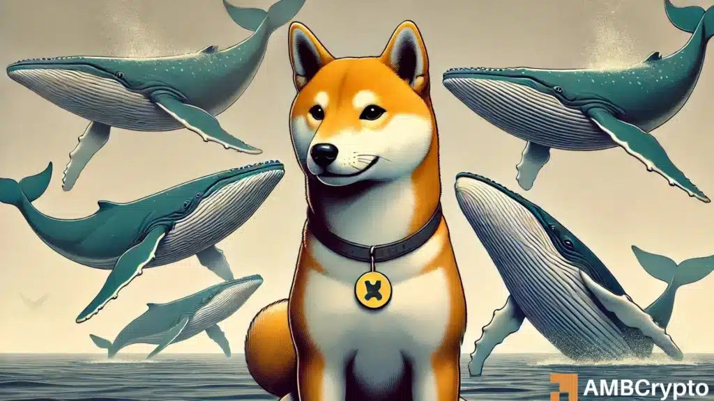 Shiba Inu SHIB