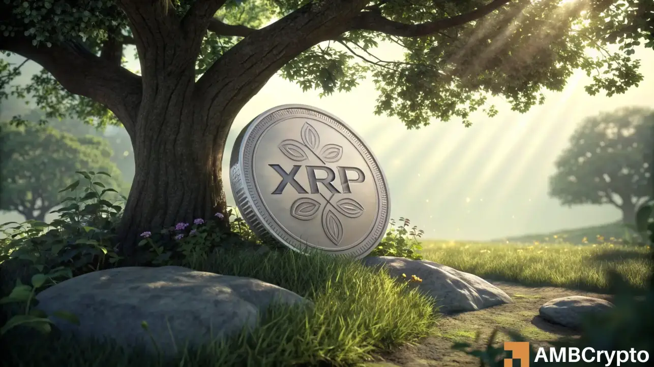 XRP's active addresses decline – What it means for price