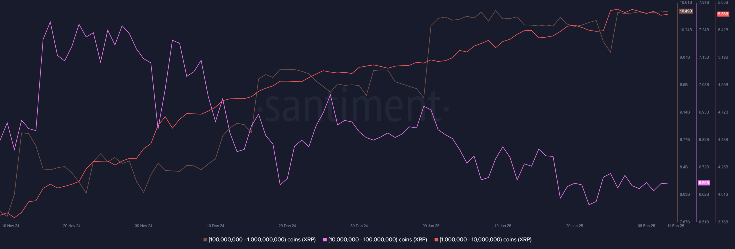 Ripple whales