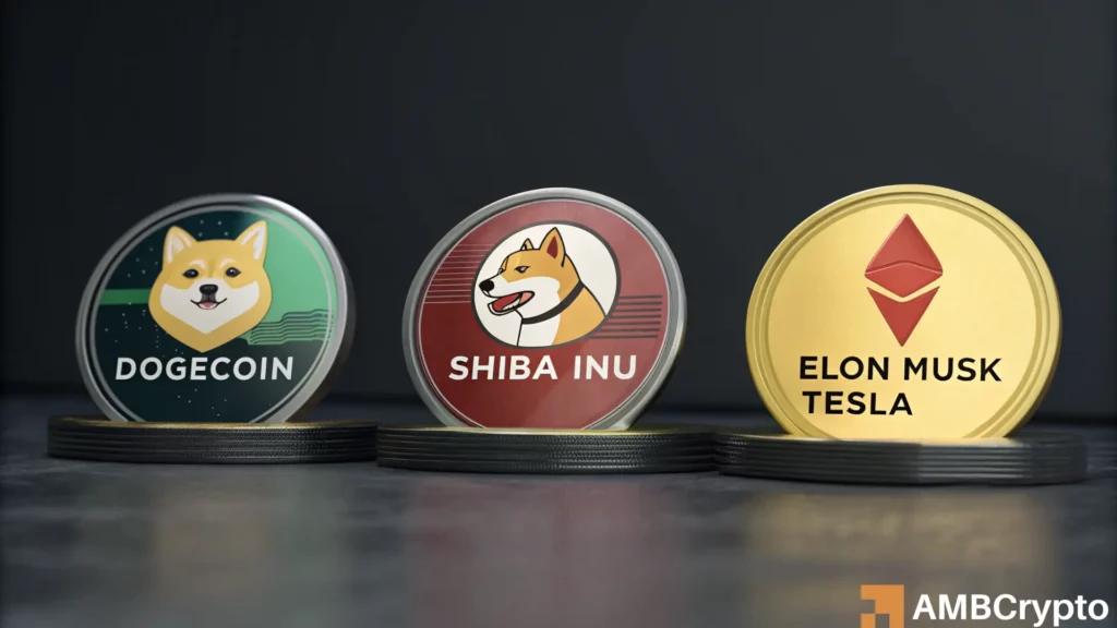 Memecoin market faces a harsh correction: 3 tokens plunge 50% in early February 2025