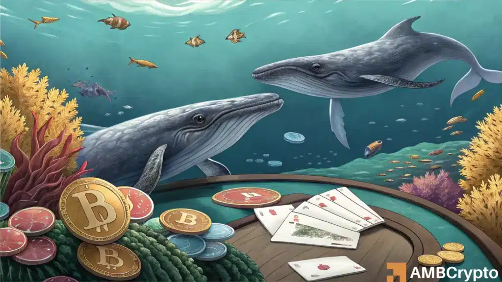 Hyperliquid whales short Bitcoin as institutional investors keep buying - Explained