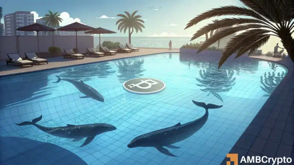 Bitcoin whales resume accumulation - Here's what it means for you!