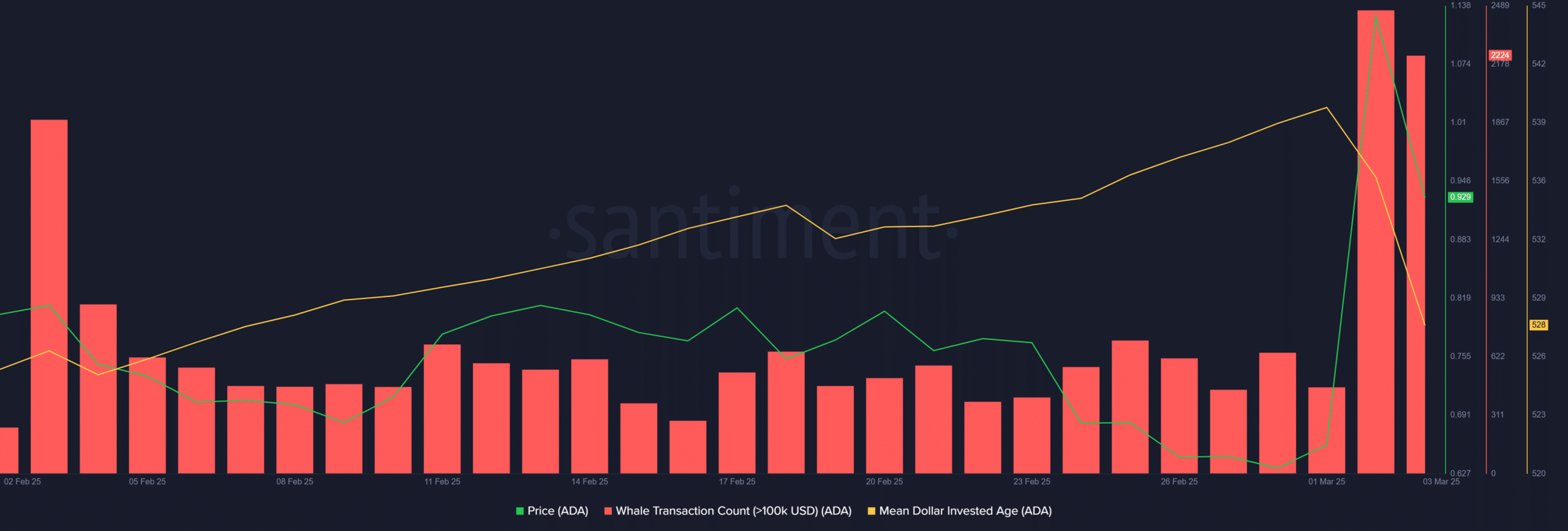 Cardano MDIA whales