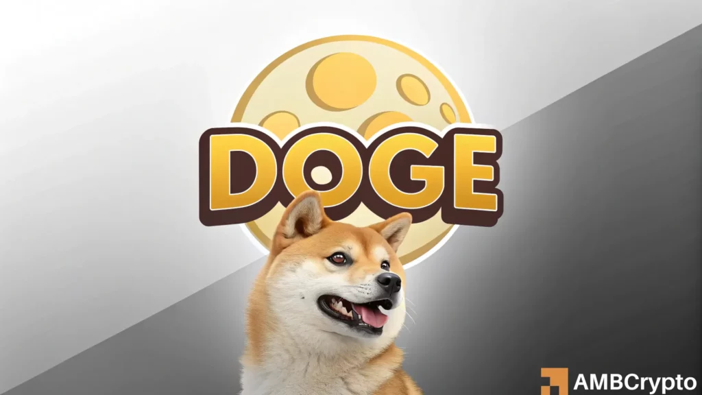 Dogecoin Long/Short ratio spikes: What it means for DOGE's next price move