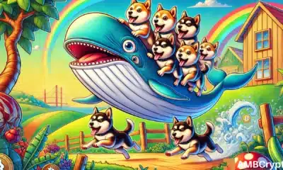 Why Dogecoin whales are scooping up DOGE even as price falls