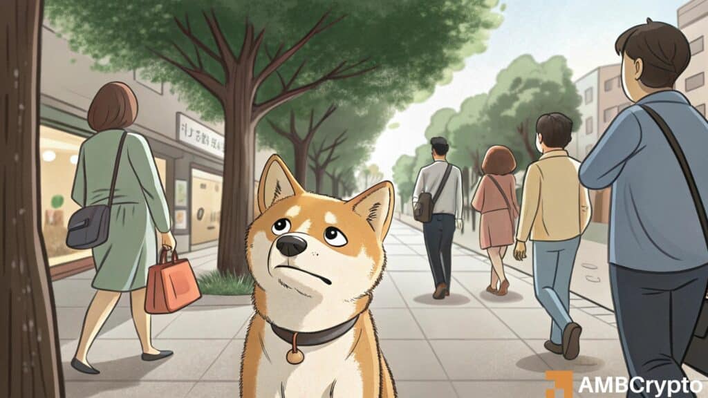 Dogecoin network activity drops to 6-month low: Is DOGE in danger?