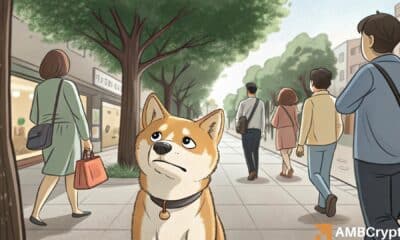 Dogecoin network activity drops to 6-month low: Is DOGE in danger?