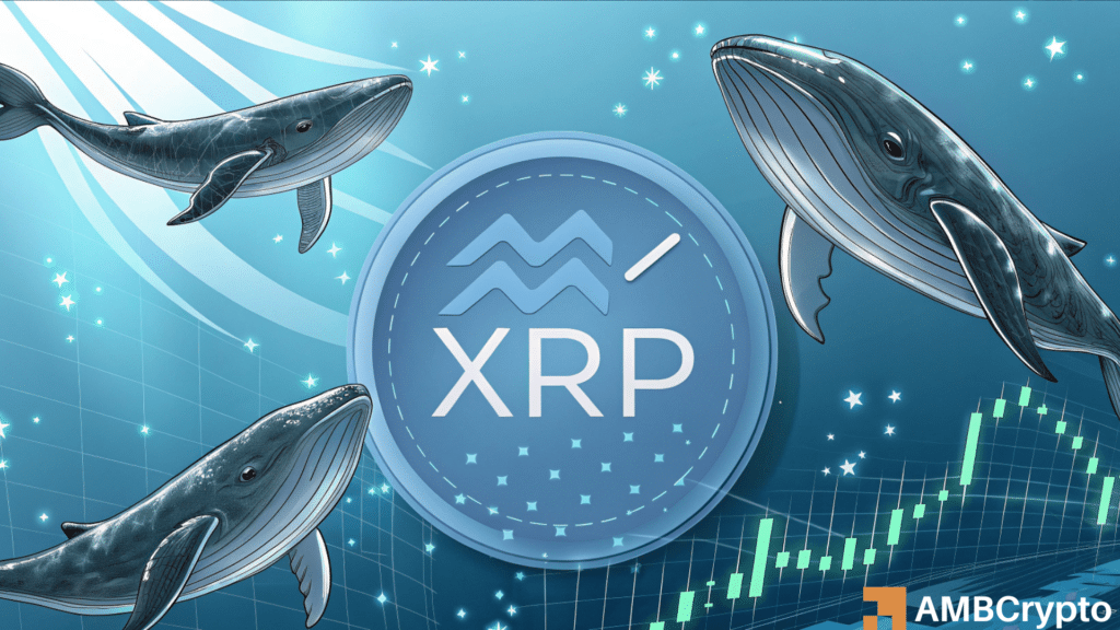 XRP: Whales show up post Crypto Reserve notice - Impact on price?