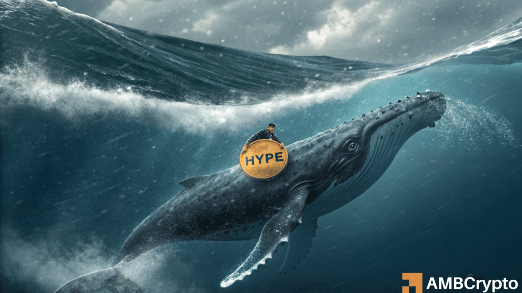 Hyperliquid whale loses out as HYPE drops - Will price keep falling?