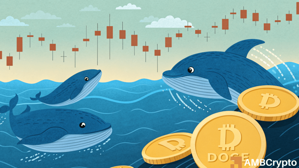 Dogecoin's 200 mln accumulation: Will it help DOGE see a sustained rally?