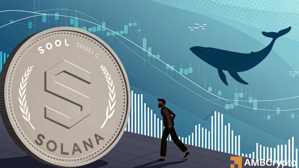 Solana price pressure: Are whale sales a warning for SOL?