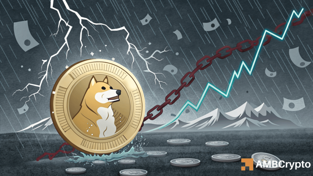 Is Dogecoin’s price surge imminent: What the data shows?