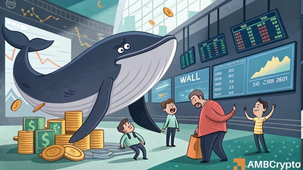 Toncoin holders at loss hit 96%, but is a whale-led recovery on the way?