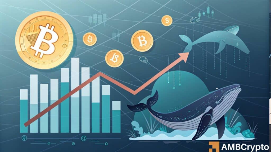 Bitcoin whale holdings drop to 6-year low: What it means for BTC