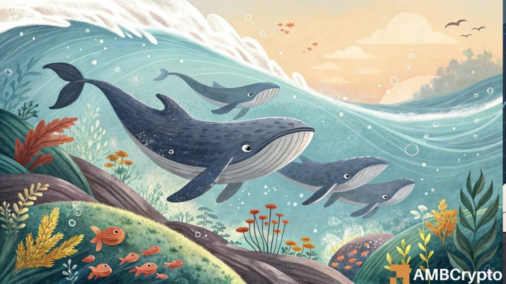 Floki Whales Buy the Dip, Scooping 27 Billion Tokens: Any Impact on Prices?