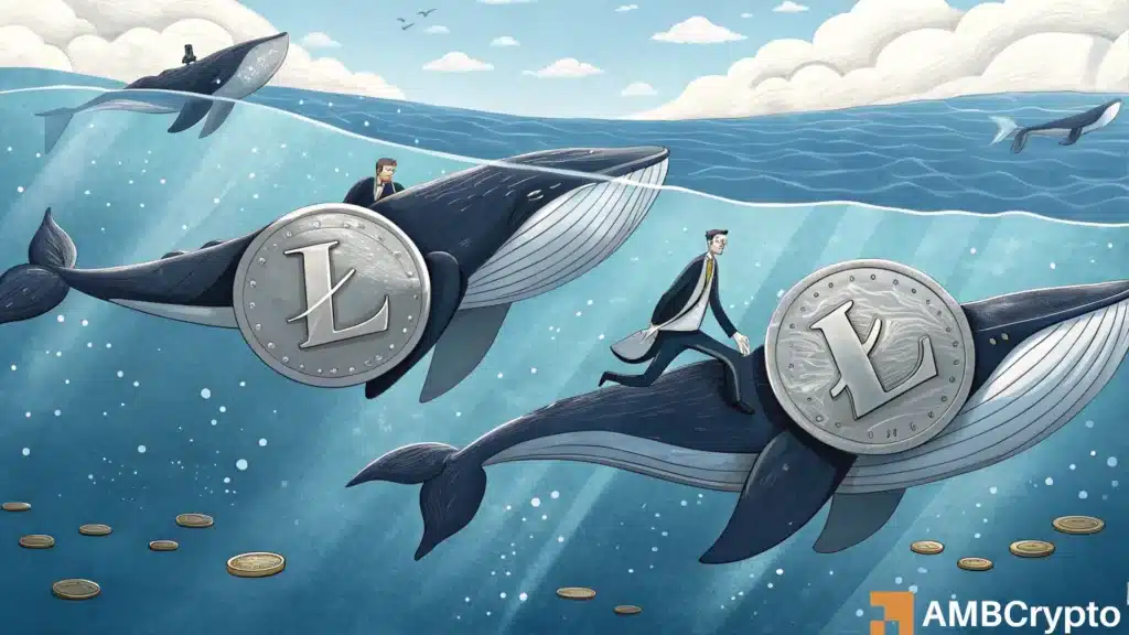 Evaluating Litecoin's recovery odds and the role whales have to play