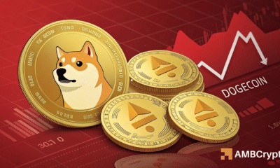 Dogecoin's daily close suggests bullish momentum ONLY if...