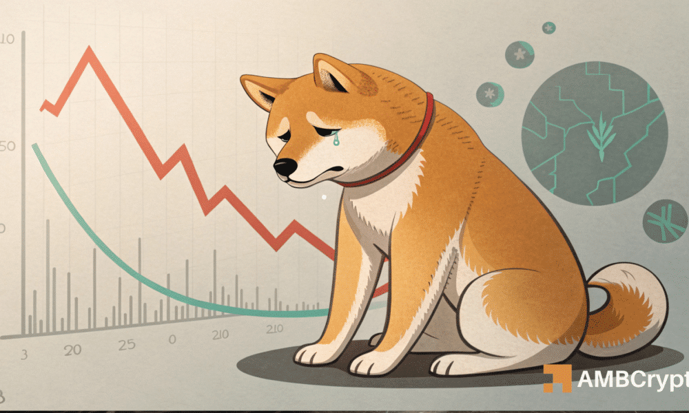 2 News Article Image Shiba Inu – How a new ‘low’ might impact memecoin’s price in the short term