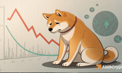 Shiba Inu - How a new 'low' might impact memecoin's price in the short term