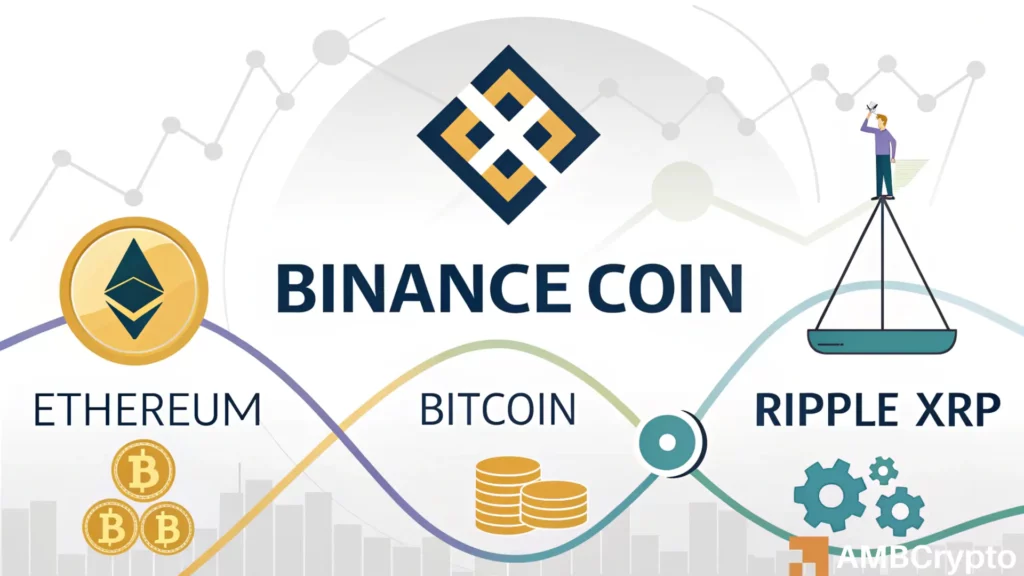 BNB and BTC outshine ETH and SOL as crypto market cap resilience diverges