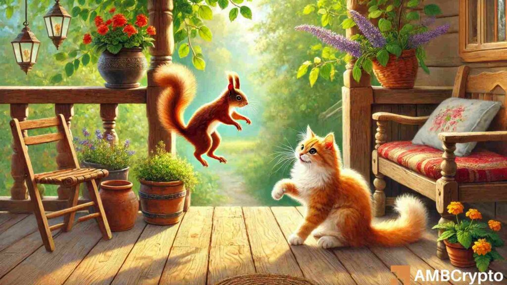 How Robinhood listings sparked rally for Solana memecoins POPCAT, PNUT