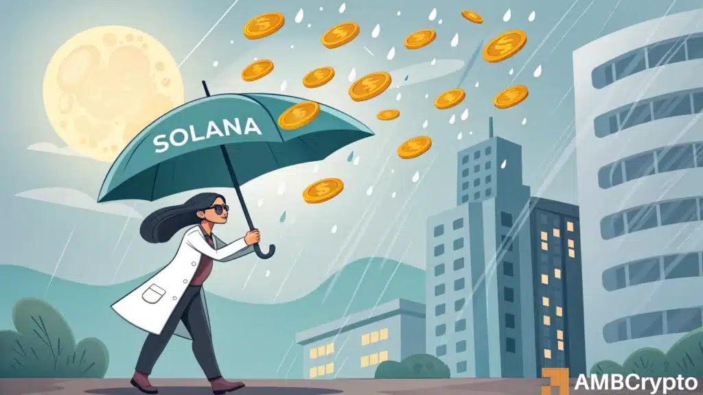 Solana: Will a $250M USDC injection spark SOL's rebound?