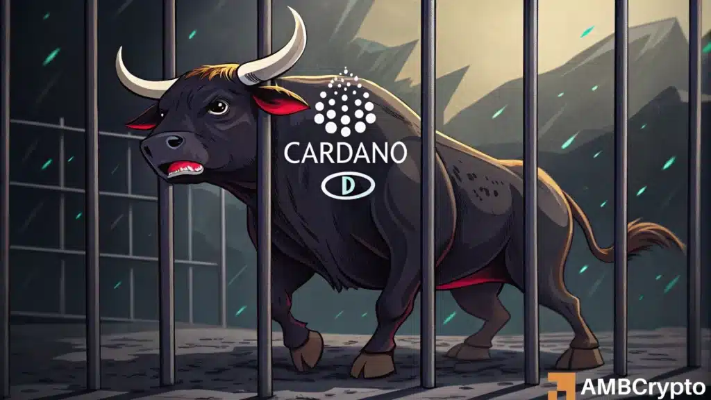 Cardano ADA