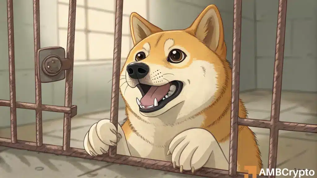 Dogecoin DOGE