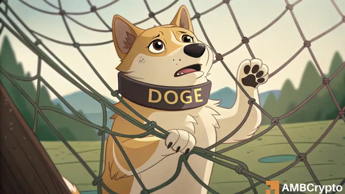 Dogecoin plunges 8% - Is this the ultimate 'buy-the-dip' moment?